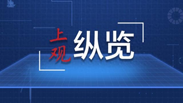 2025新澳门正版全年免费资料和一肖一码一一肖一子准确方法,全面释义、解释与落实与警惕虚假宣传