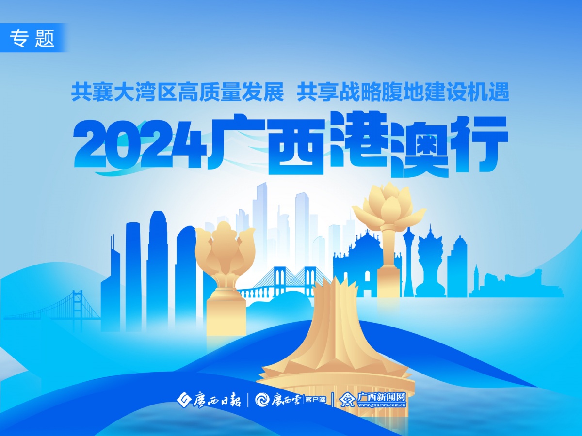 2025年新澳2025精准正版免费和香港天天免费精准大全全面释义、解释与落实